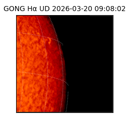 gong - 2026-03-20T09:08:02