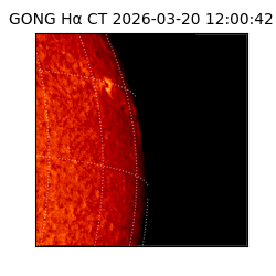 gong - 2026-03-20T12:00:42