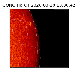 gong - 2026-03-20T13:00:42
