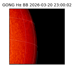 gong - 2026-03-20T23:00:02