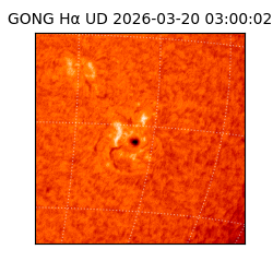 gong - 2026-03-20T03:00:02