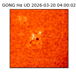 gong - 2026-03-20T04:00:02