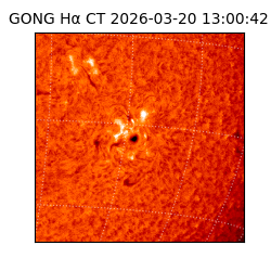 gong - 2026-03-20T13:00:42