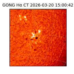 gong - 2026-03-20T15:00:42