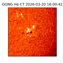 gong - 2026-03-20T16:00:42