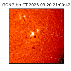 gong - 2026-03-20T21:00:42