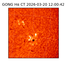 gong - 2026-03-20T12:00:42