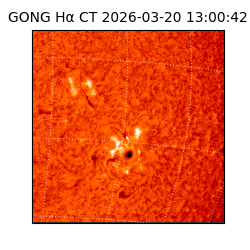 gong - 2026-03-20T13:00:42