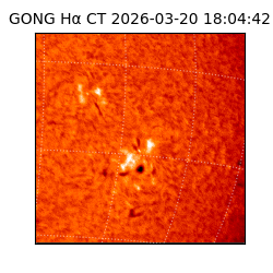 gong - 2026-03-20T18:04:42