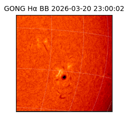 gong - 2026-03-20T23:00:02