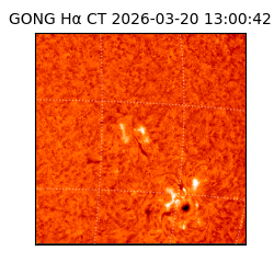 gong - 2026-03-20T13:00:42