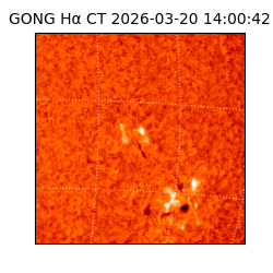 gong - 2026-03-20T14:00:42