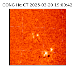 gong - 2026-03-20T19:00:42