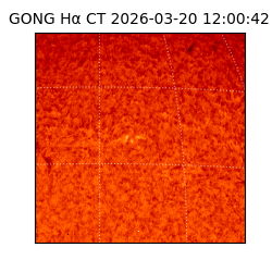 gong - 2026-03-20T12:00:42