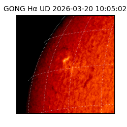 gong - 2026-03-20T10:05:02
