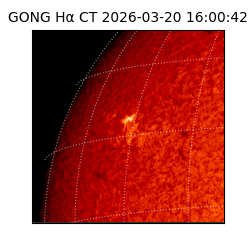 gong - 2026-03-20T16:00:42