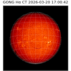 gong - 2026-03-20T17:00:42