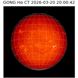 gong - 2026-03-20T20:00:42