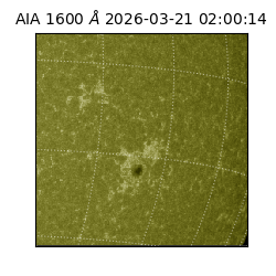 saia - 2026-03-21T02:00:14.123000