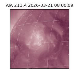 saia - 2026-03-21T08:00:09.624000