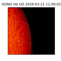 gong - 2026-03-21T11:00:02