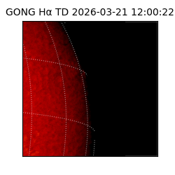gong - 2026-03-21T12:00:22