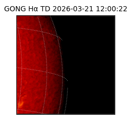 gong - 2026-03-21T12:00:22