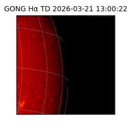 gong - 2026-03-21T13:00:22