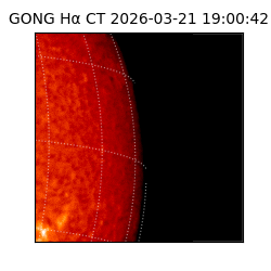 gong - 2026-03-21T19:00:42