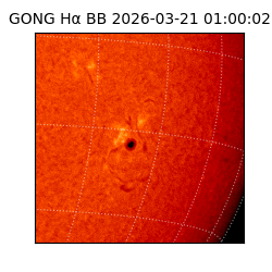 gong - 2026-03-21T01:00:02
