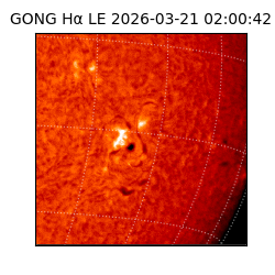 gong - 2026-03-21T02:00:42