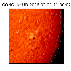 gong - 2026-03-21T11:00:02