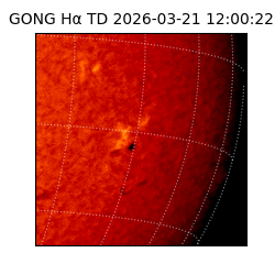 gong - 2026-03-21T12:00:22