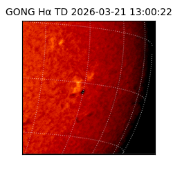 gong - 2026-03-21T13:00:22