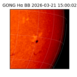 gong - 2026-03-21T15:00:02