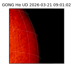gong - 2026-03-21T09:01:02