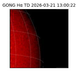 gong - 2026-03-21T13:00:22