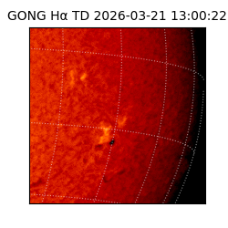 gong - 2026-03-21T13:00:22