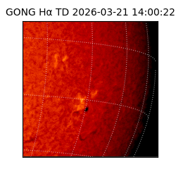 gong - 2026-03-21T14:00:22