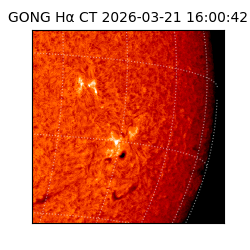 gong - 2026-03-21T16:00:42