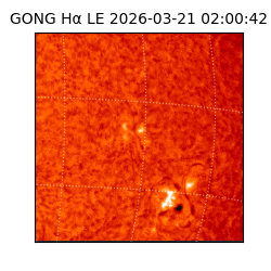 gong - 2026-03-21T02:00:42