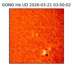 gong - 2026-03-21T03:00:02