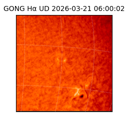 gong - 2026-03-21T06:00:02