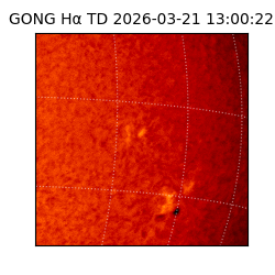gong - 2026-03-21T13:00:22