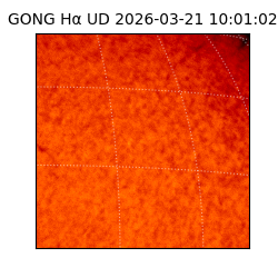 gong - 2026-03-21T10:01:02