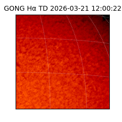 gong - 2026-03-21T12:00:22