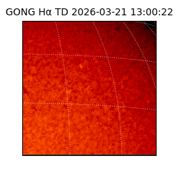 gong - 2026-03-21T13:00:22