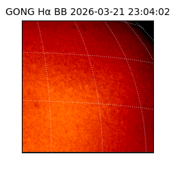 gong - 2026-03-21T23:04:02