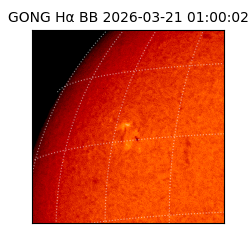 gong - 2026-03-21T01:00:02