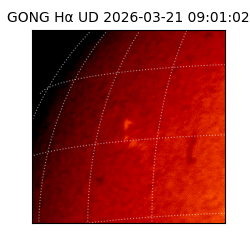 gong - 2026-03-21T09:01:02